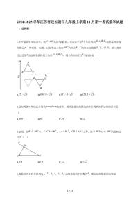 2024-2025学年江苏省连云港市九年级上学期（11月）期中考试数学检测试题【附答案】
