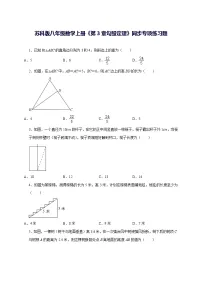 初中数学苏科版(2024)八年级上册(2024)3.1 勾股定理的探究练习题
