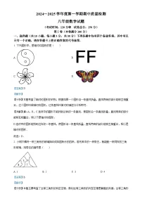 湖北省武汉市江汉区2024-2025学年八年级上学期11月期中考试数学试题（解析版）-A4
