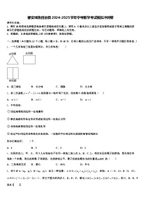 都安瑶族自治县2024-2025学年中考数学考试模拟冲刺卷含解析