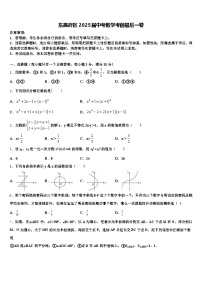 东昌府区2025届中考数学考前最后一卷含解析