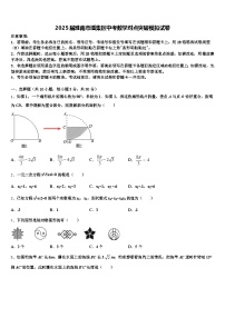 2025届淮南市潘集区中考数学对点突破模拟试卷含解析