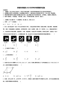 邵阳市邵阳县2025年中考冲刺卷数学试题含解析