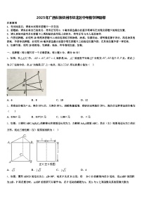 2025年广西壮族钦州市钦北区中考数学押题卷含解析