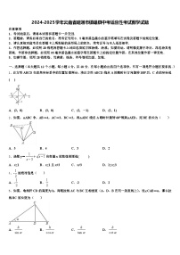 2024-2025学年云南省昭通市镇雄县中考适应性考试数学试题含解析