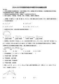 2024-2025学年阳泉市城区中考数学对点突破模拟试卷含解析