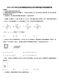2024-2025学年文山壮族苗族自治州文山市中考数学最后冲刺浓缩精华卷含解析