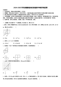 2024-2025学年西藏那曲地区那曲县中考数学模试卷含解析