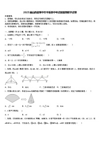 2025届山西省晋中市平遥县中考试题猜想数学试卷含解析