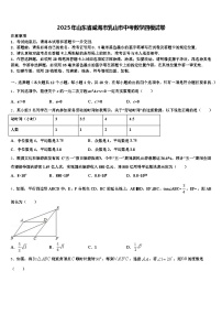 2025年山东省威海市乳山市中考数学四模试卷含解析