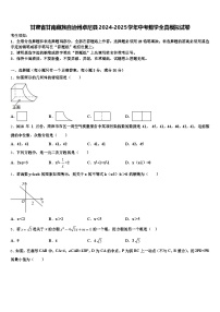 甘肃省甘南藏族自治州卓尼县2024-2025学年中考数学全真模拟试卷含解析