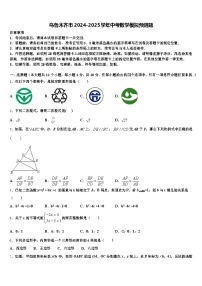 乌鲁木齐市2024-2025学年中考数学模拟预测题含解析