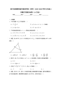 2025-2026学年四川省成都市天府新区成都实验外国语学校（西区）九年级上学期10月月考数学试题