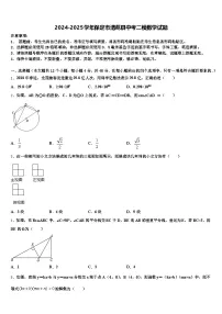 2024-2025学年保定市清苑县中考二模数学试题含解析