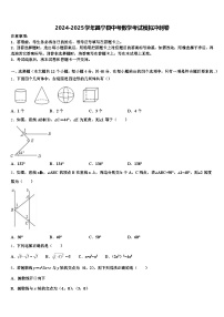 2024-2025学年昌宁县中考数学考试模拟冲刺卷含解析