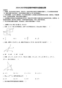 2024-2025学年成武县中考数学全真模拟试卷含解析