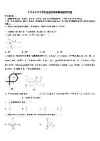 2024-2025学年达州市中考联考数学试题含解析