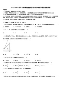 2024-2025学年甘孜藏族自治州甘孜县中考数学模拟精编试卷含解析