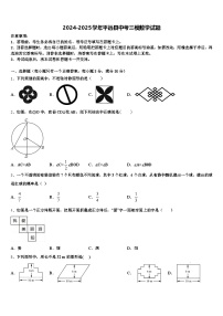 2024-2025学年平远县中考三模数学试题含解析