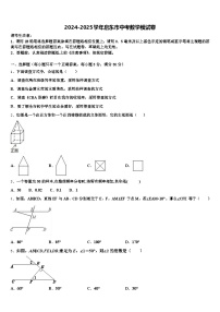 2024-2025学年启东市中考数学模试卷含解析