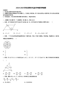 2024-2025学年深圳市坪山区中考数学押题卷含解析