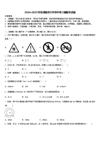 2024-2025学年咸阳市兴平市中考三模数学试题含解析