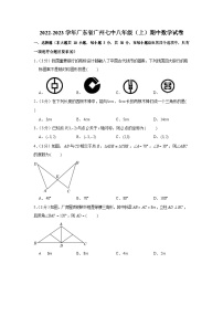 2022-2023学年广东省广州市第七中学八年级上学期期中数学试卷（含答案）