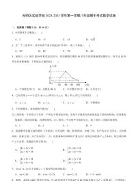 2024-2025学年深圳市光明区实验学校八年级上学期期中数学试卷及答案
