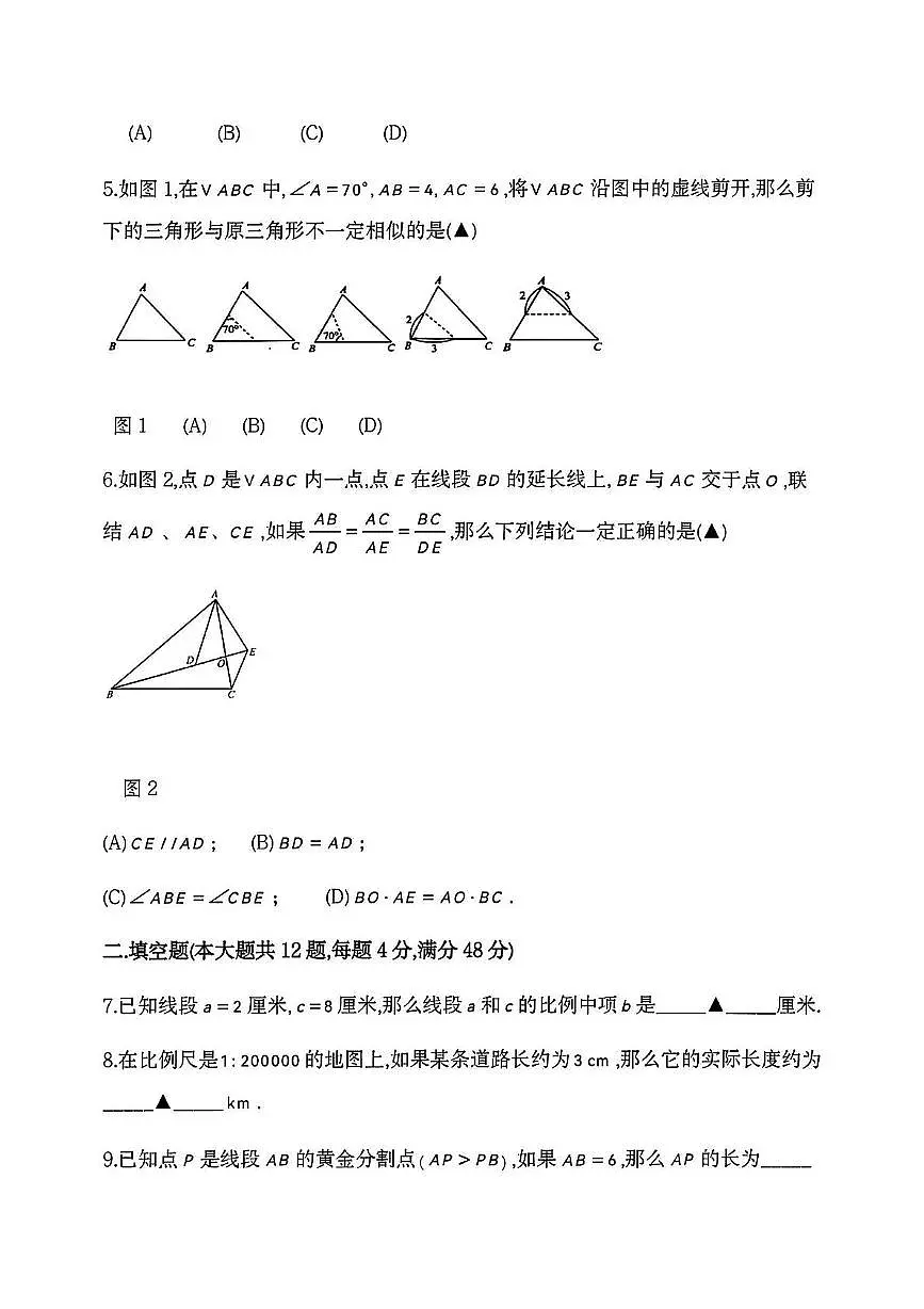 上海市民办上宝中学2025-2026学年上学期九年级10月考数学试卷第2页