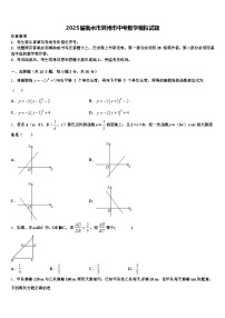 2025届衡水市冀州市中考数学模拟试题含解析