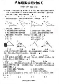 江苏省徐州市树人初级中学2025-2026学年八年级上学期限时练习数学试卷(月考)