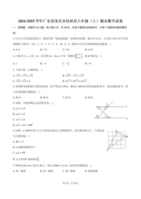 2024-2025年广东省茂名市化州市八年级上学期期末考数学试卷（含答案）