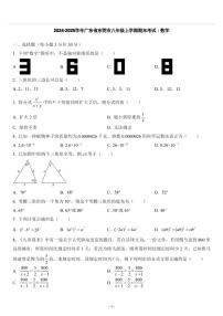 2024-2025学年广东省东莞市八年级上学期期末考试数学试卷（含答案）