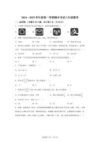广东省汕头市潮阳实验学校2024-2025学年八年级上学期期末考试数学试题（含答案）