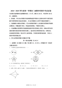 广东省区广州市执信中学2024-2025学年八年级上学期11月期中数学试题(含答案)