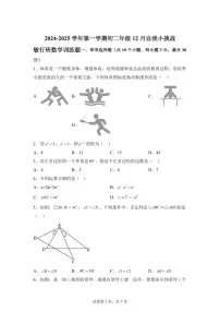 广东省中山市华辰实验中学2024-2025学年上学期八年级敏行班12月月考数学（含答案）