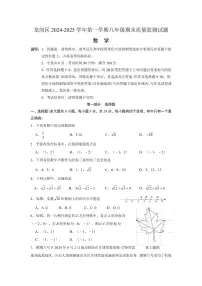 2024-2025学年深圳市龙岗区八年级上学期期末数学试卷含答案