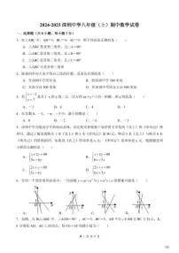 2024-2025学年深圳中学八年级上学期期中数学试卷含答案