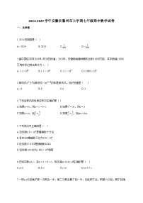 2024~2025学年安徽省滁州市上册七年级期中数学试题（含答案）