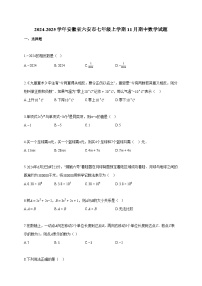 2024~2025学年安徽省六安市七年级上册11月期中数学试题（含答案）