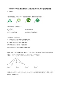 2024~2025学年江苏省泰州市八年级上册11月期中考试数学试题（含答案）