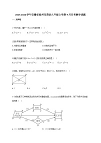 2025~2026学年安徽省宿州市萧县九年级上册9月月考数学试题（含答案）