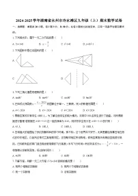 2024-2025学年湖南省永州市冷水滩区九年级(上)期末数学试卷(含答案)