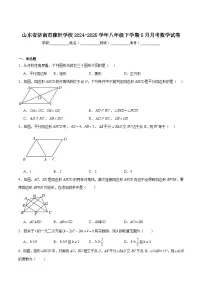 济南稼轩学校2024-2025学年八年级下学期5月月考数学试卷(含解析)