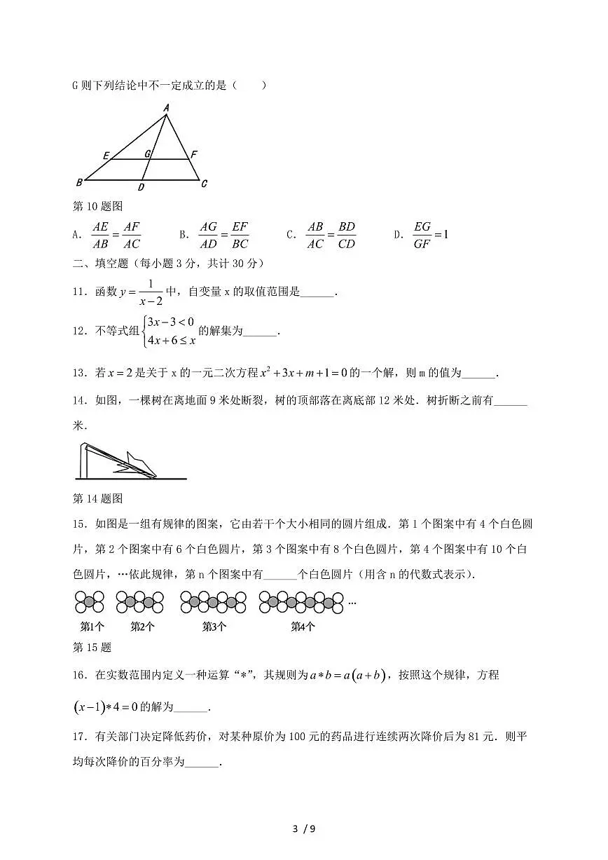 黑龙江省哈尔滨市2024~2025学年九年级上册开学测试数学试卷【带答案】第3页