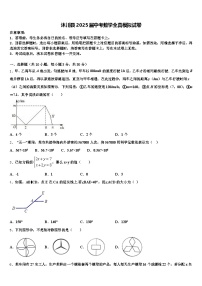 沐川县2025届中考数学全真模拟试卷含解析