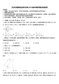 文山壮族苗族自治州马关县2025届中考数学模拟预测试卷含解析