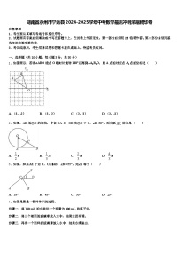 湖南省永州市宁远县2024-2025学年中考数学最后冲刺浓缩精华卷含解析