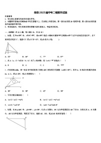 单县2025届中考二模数学试题含解析