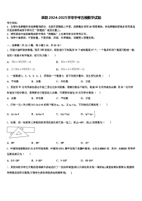淇县2024-2025学年中考五模数学试题含解析